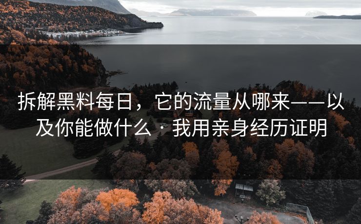 拆解黑料每日，它的流量从哪来——以及你能做什么 · 我用亲身经历证明