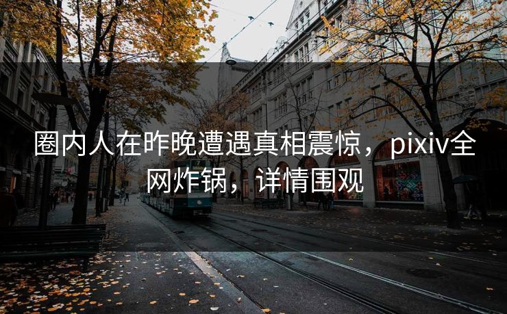 圈内人在昨晚遭遇真相震惊，pixiv全网炸锅，详情围观