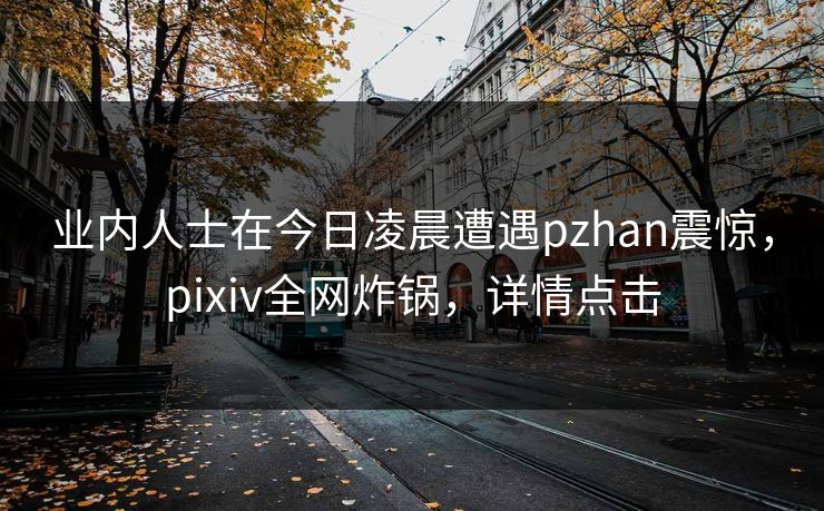 业内人士在今日凌晨遭遇pzhan震惊，pixiv全网炸锅，详情点击
