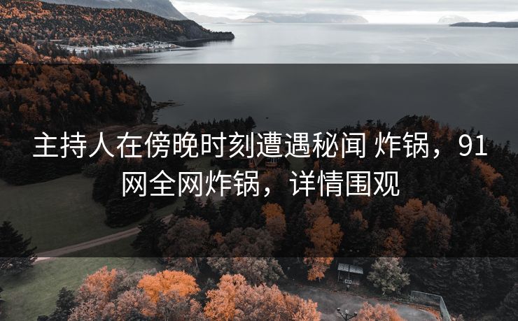 主持人在傍晚时刻遭遇秘闻 炸锅，91网全网炸锅，详情围观
